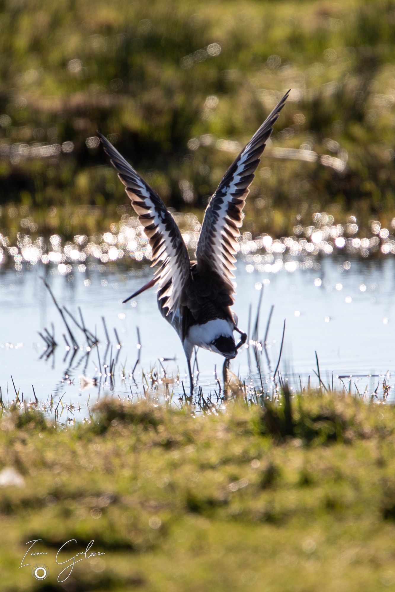 1DX42968 28 februari 2022 1247 28